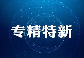 安徽省政府决定：做优做大做强专精特新中小企业群体