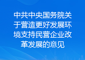 中共中央国务院关于营造更好发展环境支持民营企业改革发展的意见
