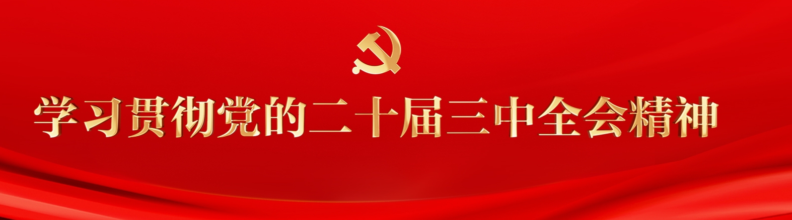 协会传达学习党的二十届三中全会上精神
