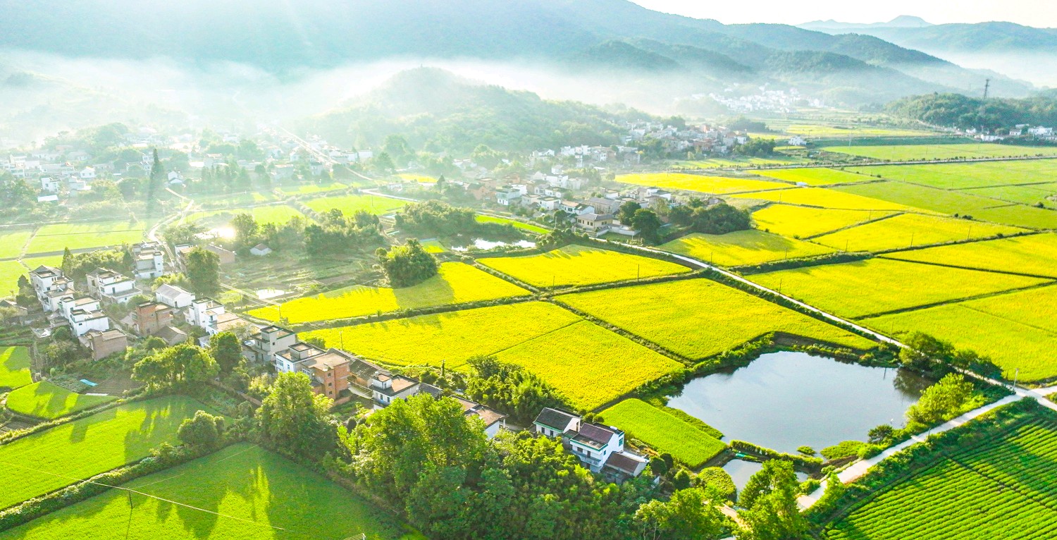 九部门联合印发实施方案 推进美丽乡村建设