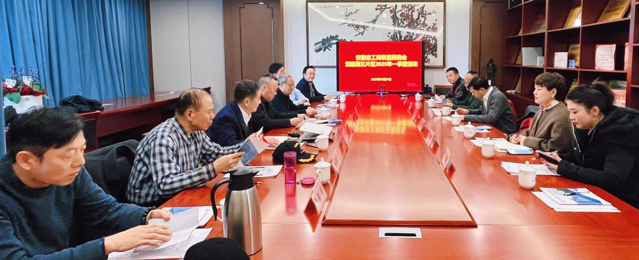 党支部承办省工商联直属商会党建第三片区 一季度主题教育活动