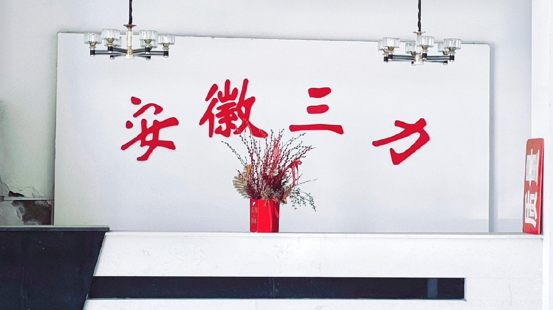 【理事单位】安徽三力新材料有限责任公司